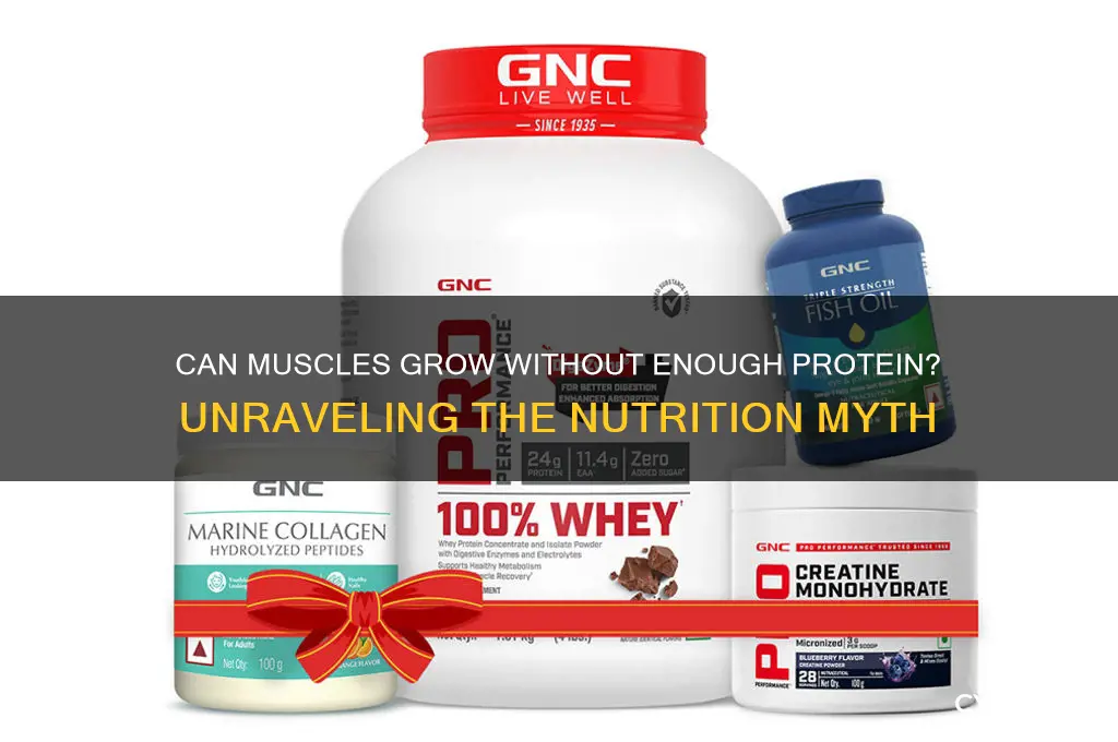 will my muscles grow if i don