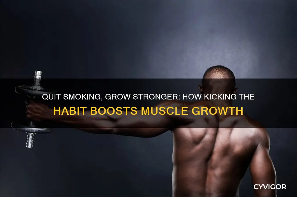 will my muscles grow if i quit smoking