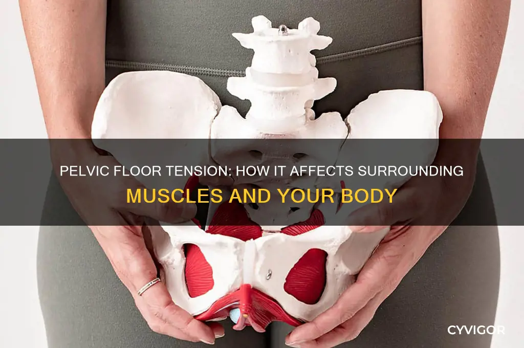 will my pelvic floor muscles pull on other muscles