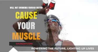 Dehydration and Muscle Health: The Impact of Insufficient Water Intake
