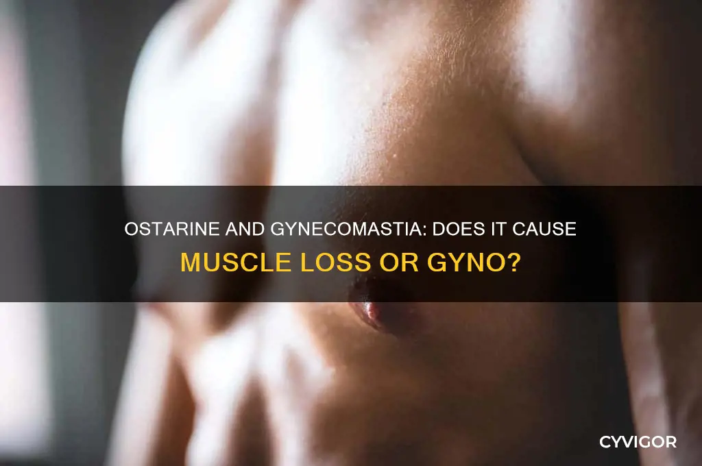 will ostarine cause gyno cause muscle loss