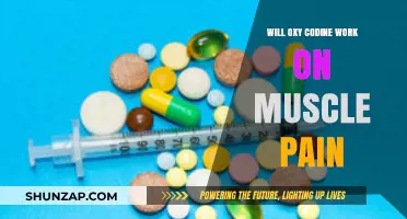 Oxycodone for Muscle Pain: Effectiveness, Risks, and Alternatives Explained