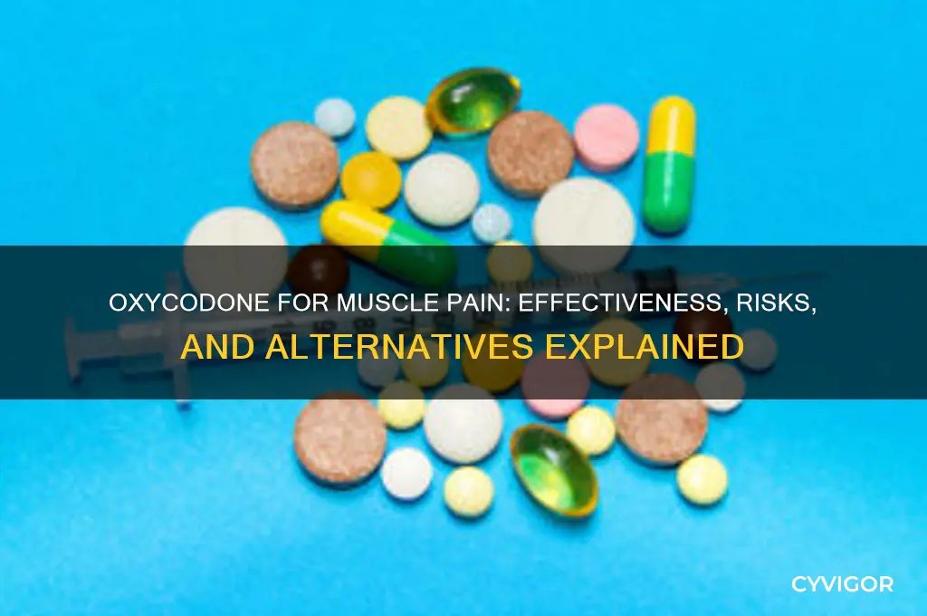 will oxy codine work on muscle pain