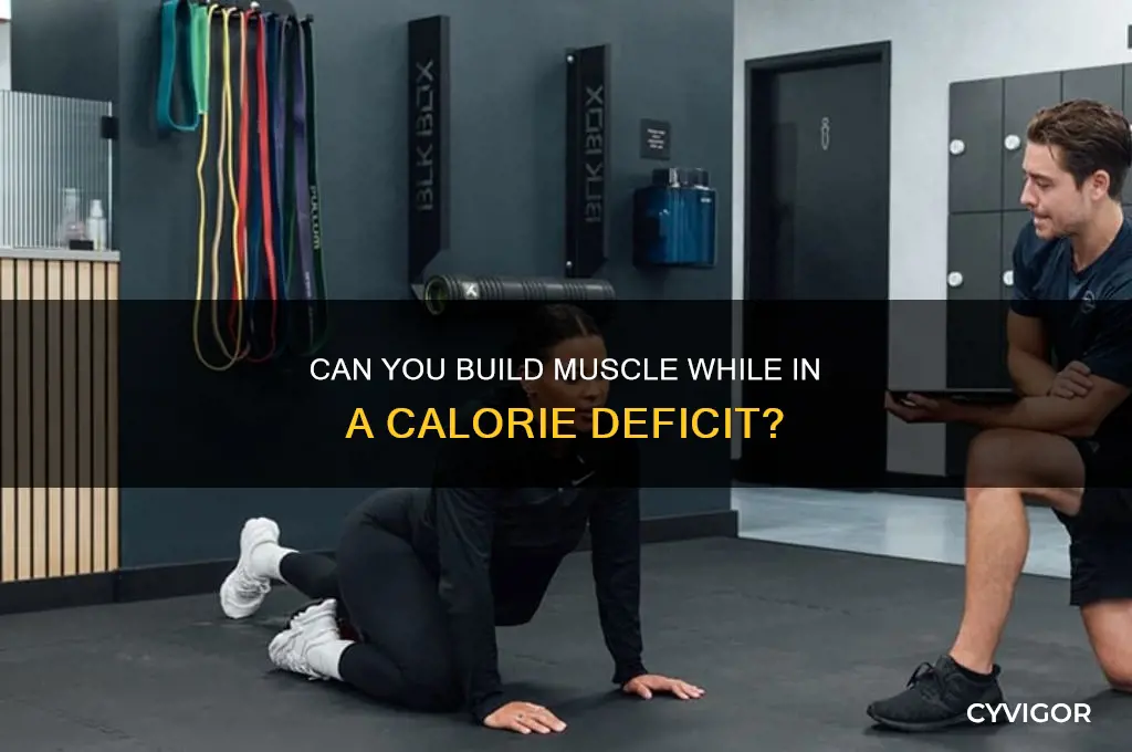 will oyu gain muscles in a calorie deficit