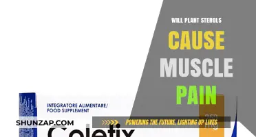 Plant Sterols and Muscle Pain: Unraveling the Connection and Facts