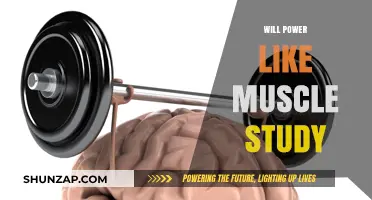 Willpower Workout: Study Reveals Secret to Self-Control