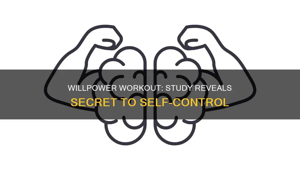 will power like muscle study