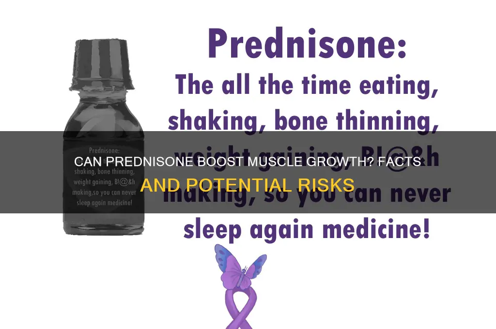 will prednisone help gain muscle