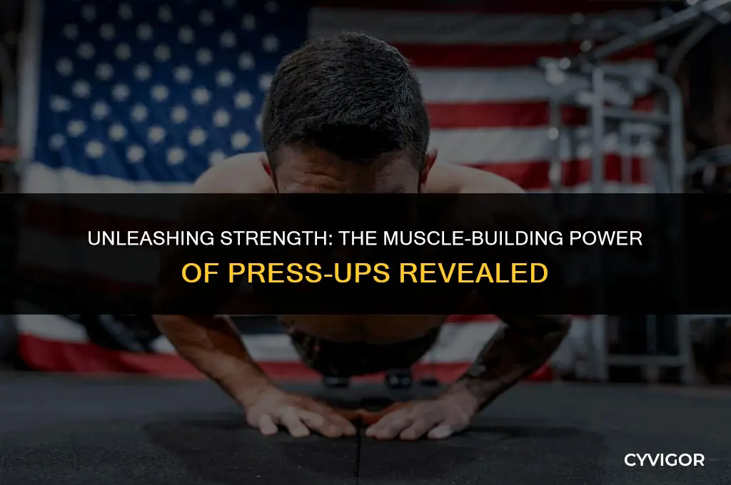 will press ups build muscle
