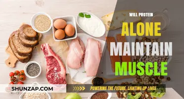 Protein Intake: Muscle Maintenance and Growth
