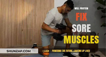 Can Protein Heal Sore Muscles? Unlocking Recovery Secrets Post-Workout