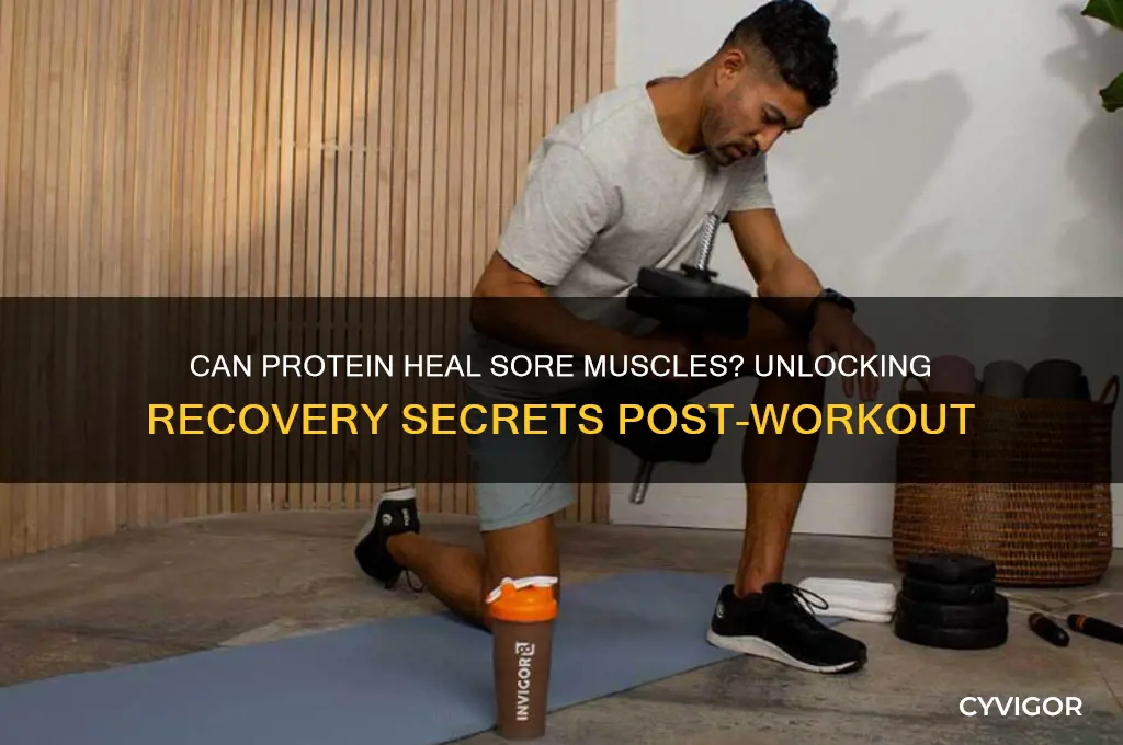 will protein fix sore muscles