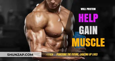 Protein Power: Unlocking Muscle Growth and Strength Effectively