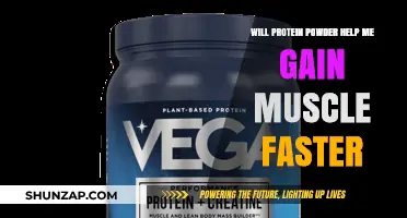 Can Protein Powder Accelerate Muscle Gain? Facts and Insights
