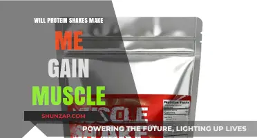 Protein Shakes and Muscle Gain: Fact or Fiction?
