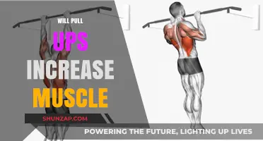 Do Pull-Ups Build Muscle? Unlocking Strength and Growth Potential