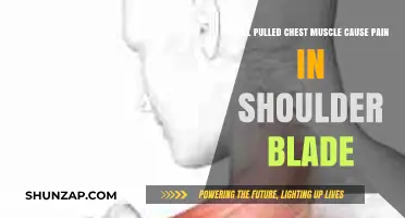 Pulled Chest Muscle: Shoulder Blade Pain Connection Explained