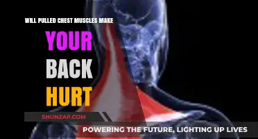 Pulled Chest Muscles and Back Pain: Understanding the Connection