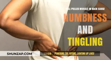 Pulled Back Muscle: Can It Cause Numbness and Tingling?