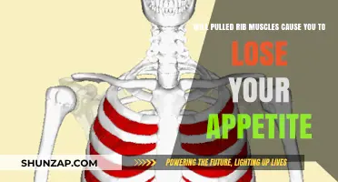 Pulled Rib Muscles and Appetite Loss: Understanding the Connection