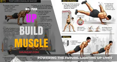 Will Push-Ups Build Muscle? The Truth Behind This Classic Exercise