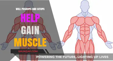 Pushups and Situps: Effective for Muscle Gain or Just Hype?