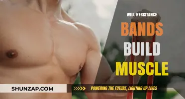 Resistance Bands: Effective for Muscle Building?