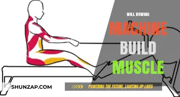 Rowing Machine Muscle Building: Fact or Fiction?
