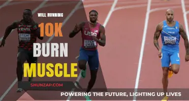 Running 10K: Muscle Gain or Loss?