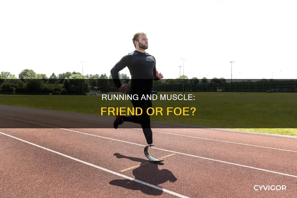 will running burn muscle