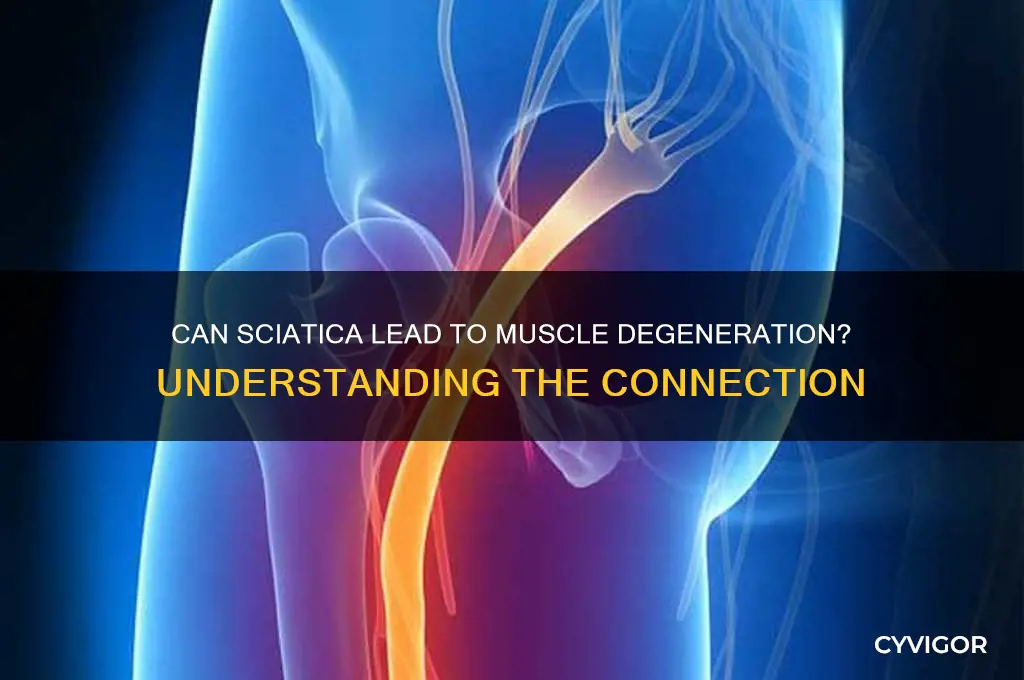 will sciatica cause muscle degeneration