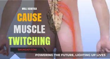 Sciatica and Muscle Twitching: Understanding the Connection and Symptoms