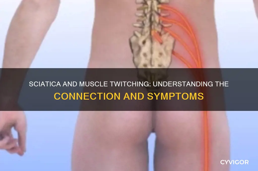 will sciatica cause muscle twitching