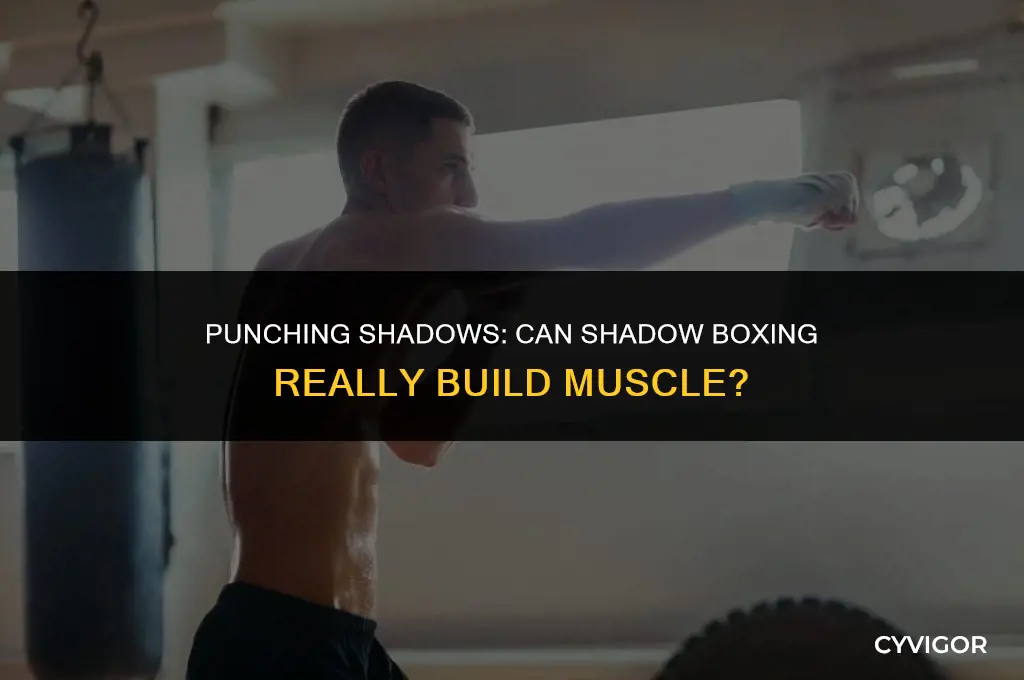 will shadow boxing build muscle