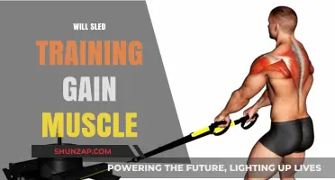 Sled Training for Muscle Growth: Effective or Overhyped?