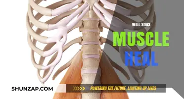 Healing SOAS Muscle Injury: What to Expect and How to Recover