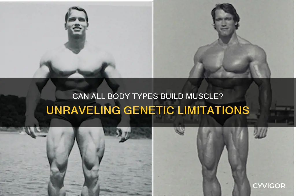 will some body types not be able to gain muscle
