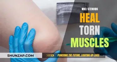 Steroids: Can They Repair Torn Muscles?