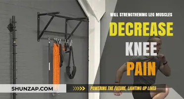 Stronger Legs, Less Pain: How Leg Muscles Impact Knee Health