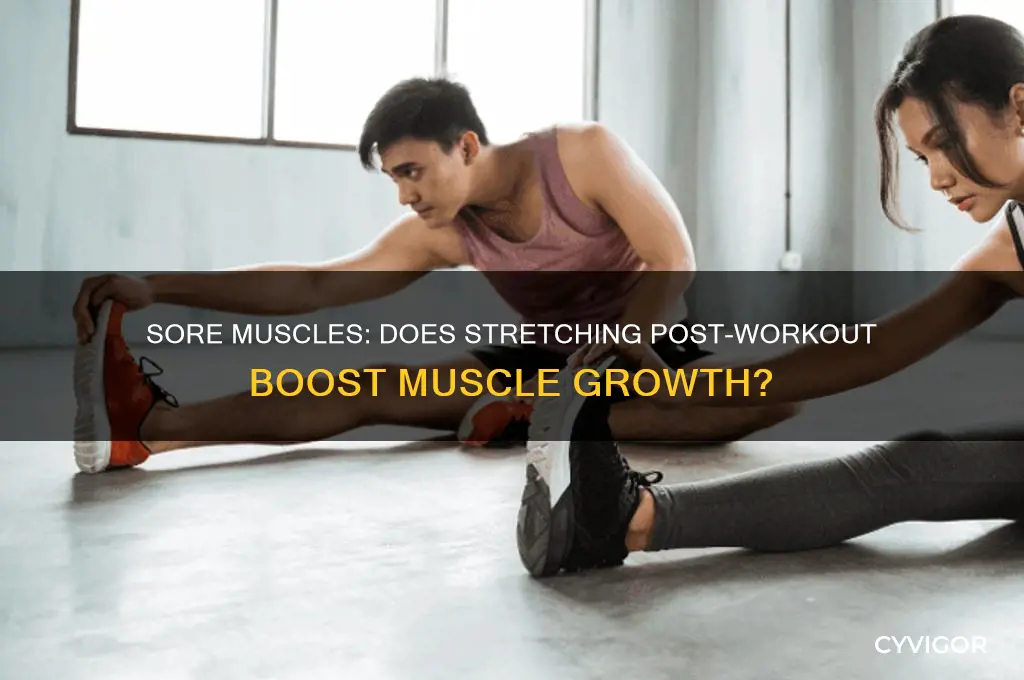 will stretching after a hard workout when sore gain muscle