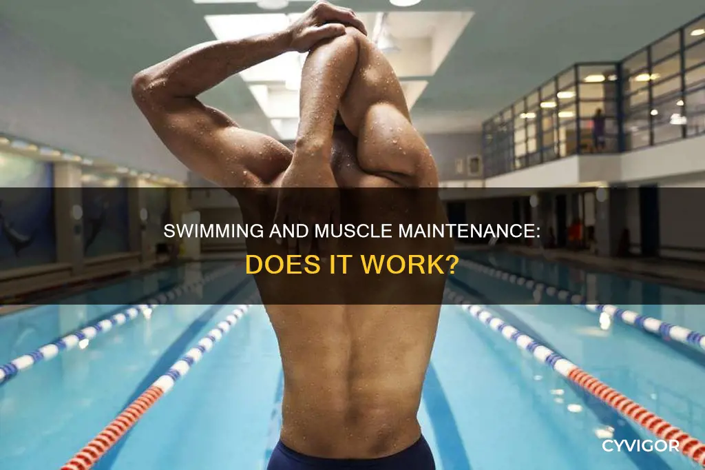 will swimming maintain muscle