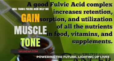 Fulvic Acid and Muscle Tone: Can It Enhance Your Fitness Goals?