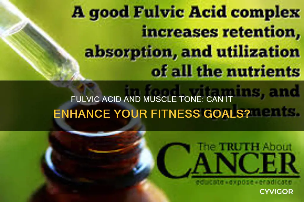 will takng fulvic acid help me gain muscle tone