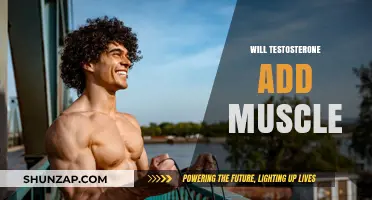 Testosterone's Muscle-Building Power: Fact or Fiction?