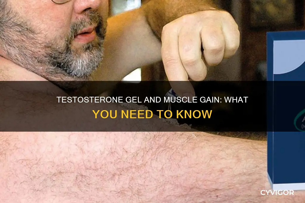 will testosterone gel make me gain muscle