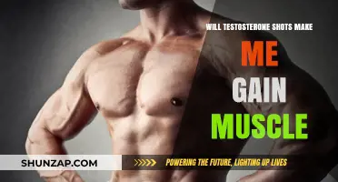 Testosterone Shots and Muscle Gain: What You Need to Know