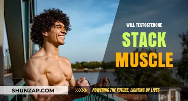 Testosterone Stacking: Muscle Growth and Benefits