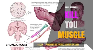 Tetanus Toxin: Muscle Paralysis and Death