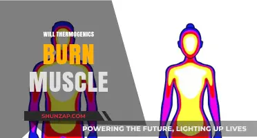 Thermogenics: Do They Burn Muscle or Just Fat?