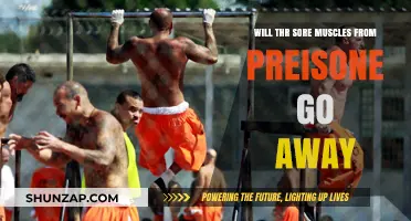 Recovering from Prison: Will Sore Muscles Heal Over Time?